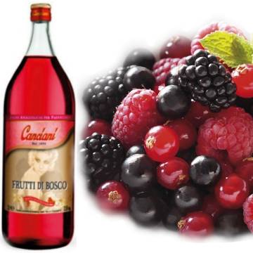 BAGNA ANALCOLICA FRUTTI DI BOSCO LT 2